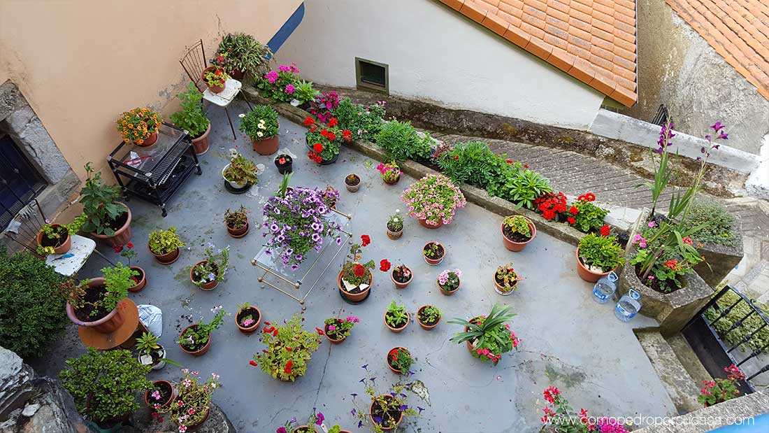 patio de flores tipico de cudillero asturias
